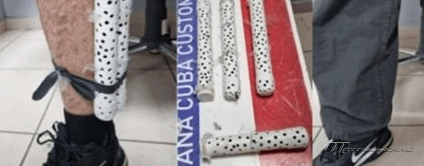 مطار خوسيه مارتّي يكشف محاولة تهريب غامضة لـ28 طائرًا