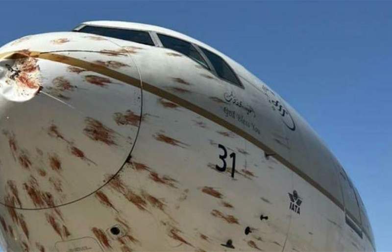 سرب من الطيور يهاجم طائرة سعودية