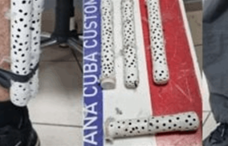 مطار خوسيه مارتّي يكشف محاولة تهريب غامضة لـ28 طائرًا