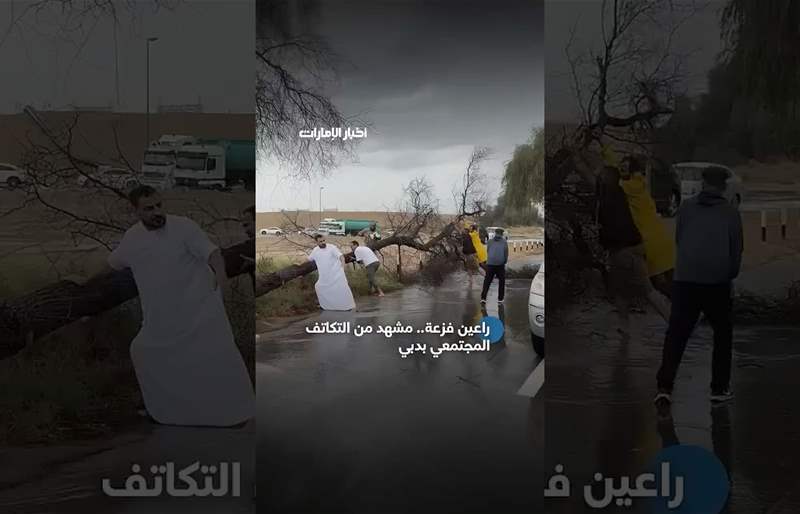 فزعة إماراتية ملهمة… شباب يتصدرون المشهد لإزالة آثار الأمطار والأشجار المتساقطة